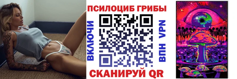 закладки  Алдан  Галлюциногенные грибы Psilocybine cubensis 